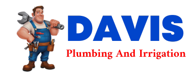 Trusted plumber in TORBERT